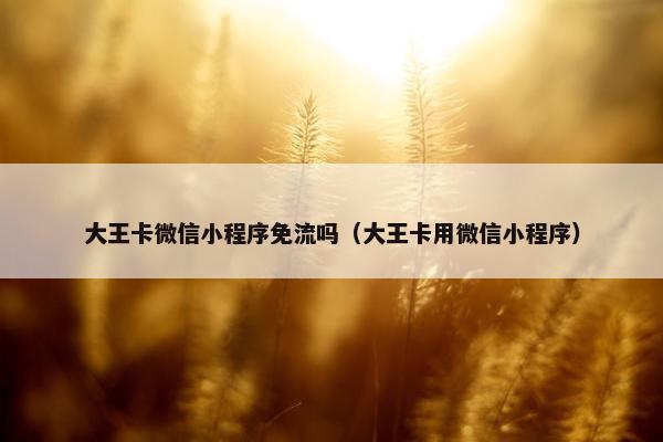 大王卡微信小程序免流吗（大王卡用微信小程序）