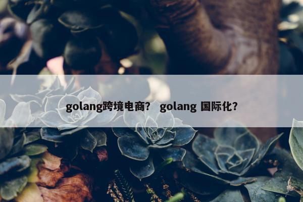 golang跨境电商？ golang 国际化？