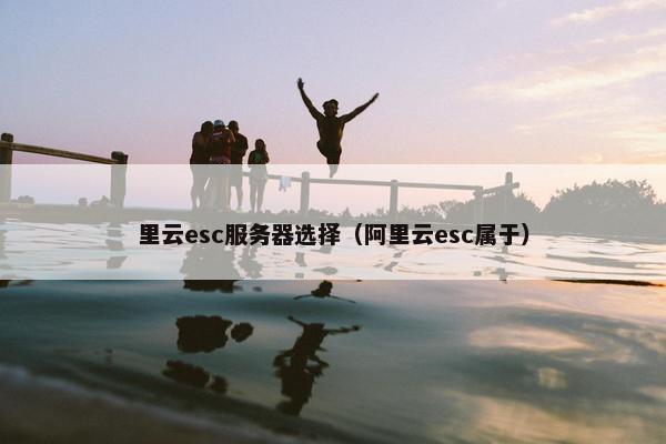里云esc服务器选择（阿里云esc属于）