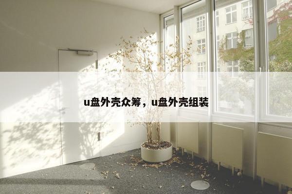 u盘外壳众筹，u盘外壳组装