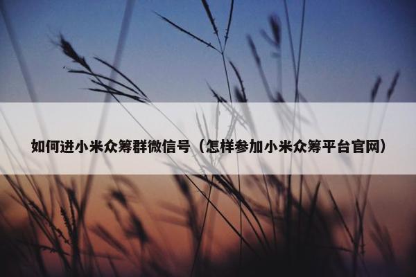 如何进小米众筹群微信号（怎样参加小米众筹平台官网）