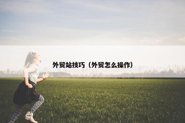 外贸站技巧（外贸怎么操作）