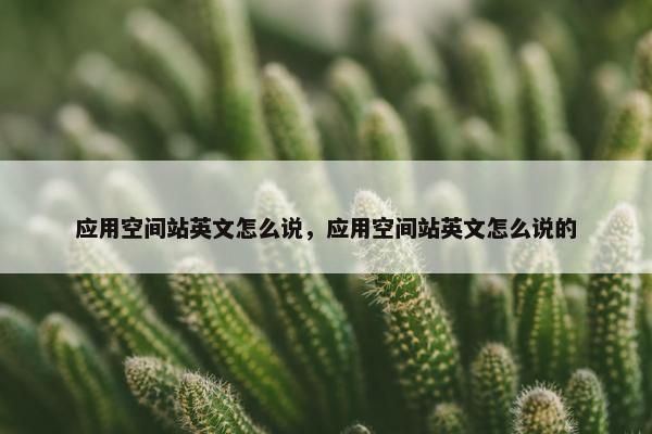 应用空间站英文怎么说，应用空间站英文怎么说的