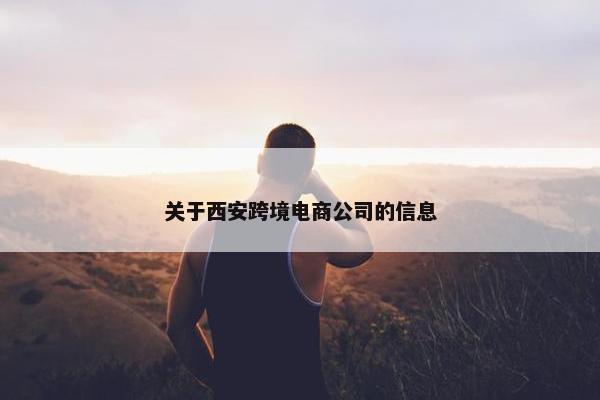 关于西安跨境电商公司的信息