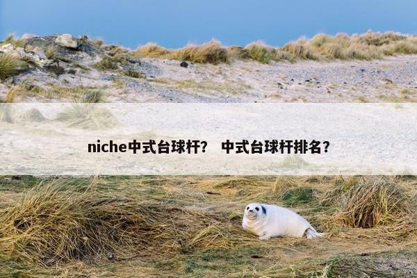 niche中式台球杆？ 中式台球杆排名？