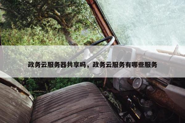 政务云服务器共享吗，政务云服务有哪些服务
