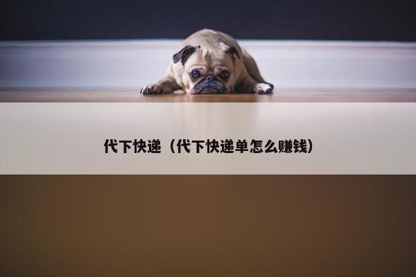 代下快递（代下快递单怎么赚钱）