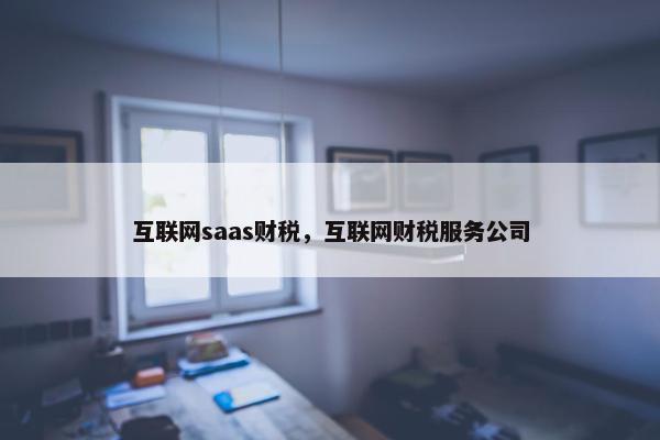 互联网saas财税，互联网财税服务公司