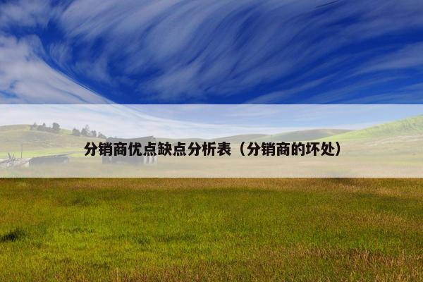 分销商优点缺点分析表（分销商的坏处）