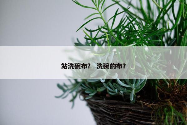 站洗碗布？ 洗碗的布？