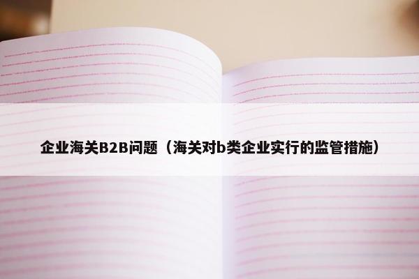 企业海关B2B问题（海关对b类企业实行的监管措施）