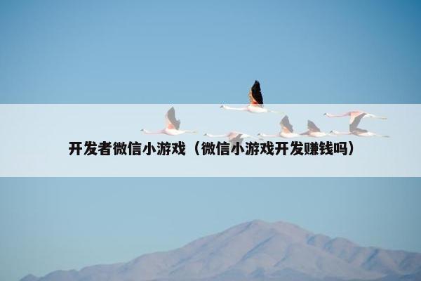 开发者微信小游戏（微信小游戏开发赚钱吗）