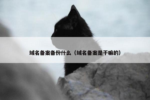 域名备案备份什么（域名备案是干嘛的）