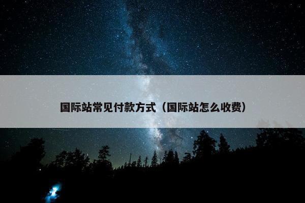 国际站常见付款方式（国际站怎么收费）
