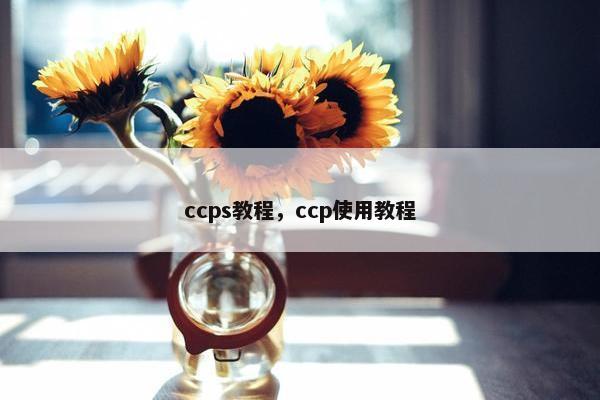 ccps教程，ccp使用教程