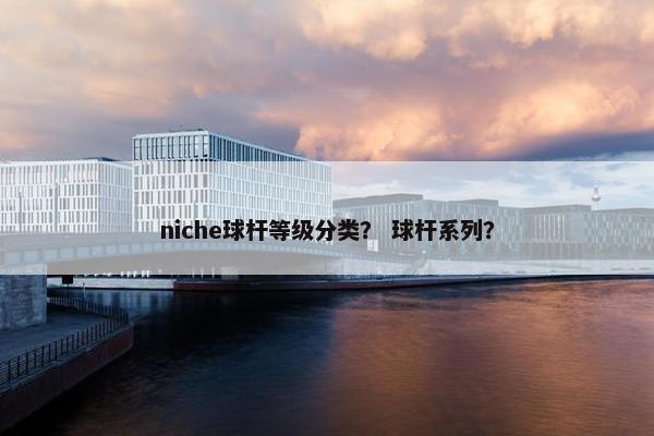 niche球杆等级分类？ 球杆系列？