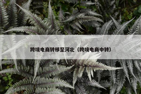 跨境电商转移至河北（跨境电商中转）