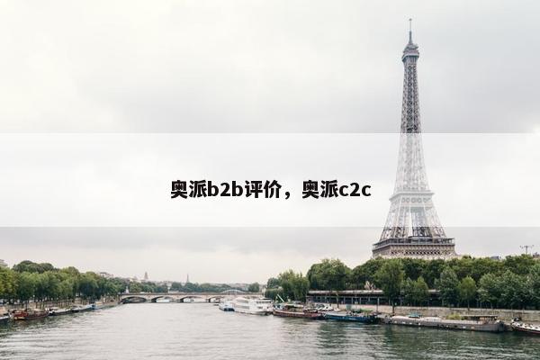 奥派b2b评价，奥派c2c