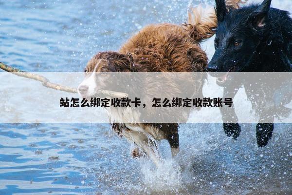站怎么绑定收款卡，怎么绑定收款账号