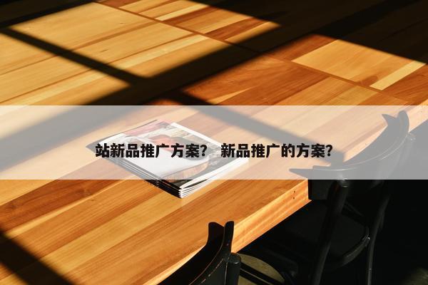 站新品推广方案？ 新品推广的方案？