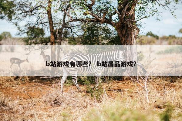 b站游戏有哪些？ b站出品游戏？