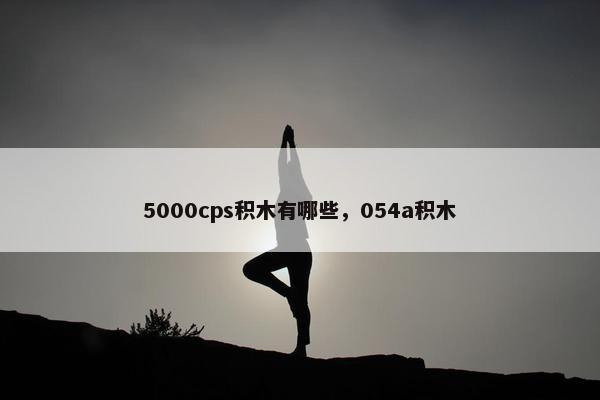 5000cps积木有哪些，054a积木