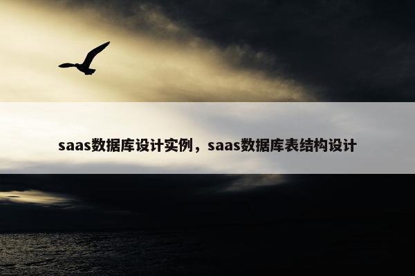 saas数据库设计实例，saas数据库表结构设计