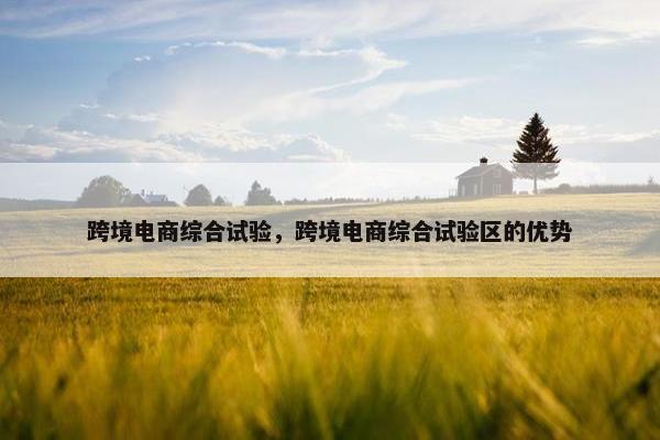 跨境电商综合试验，跨境电商综合试验区的优势