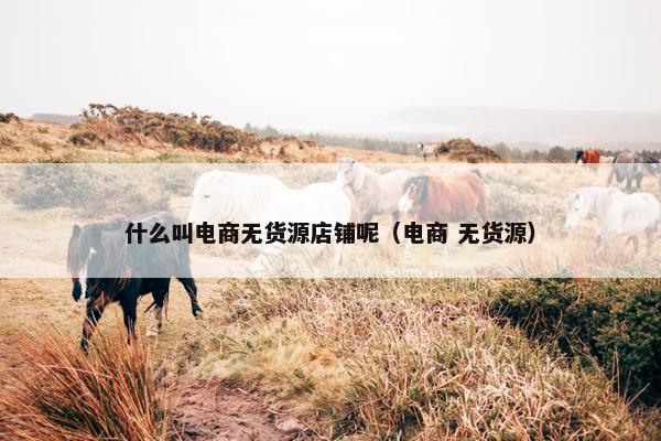 什么叫电商无货源店铺呢（电商 无货源）