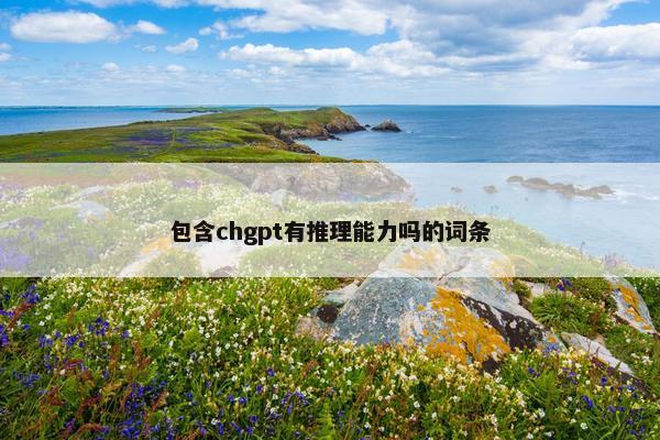 包含chgpt有推理能力吗的词条