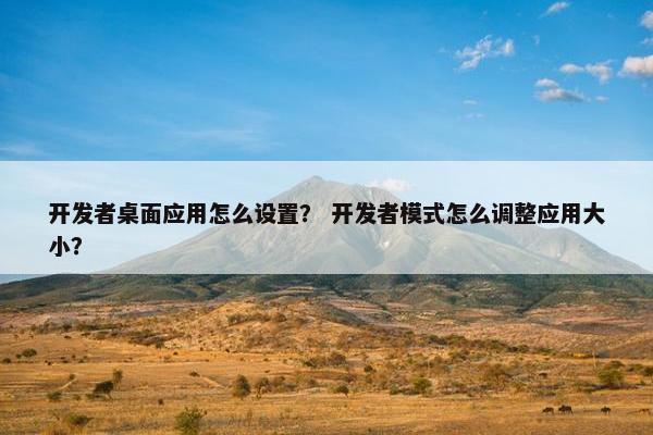 开发者桌面应用怎么设置？ 开发者模式怎么调整应用大小？