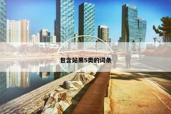 包含站黑5类的词条