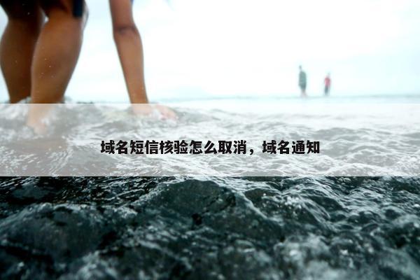 域名短信核验怎么取消，域名通知