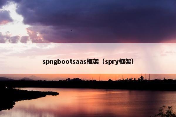 spngbootsaas框架（spry框架）