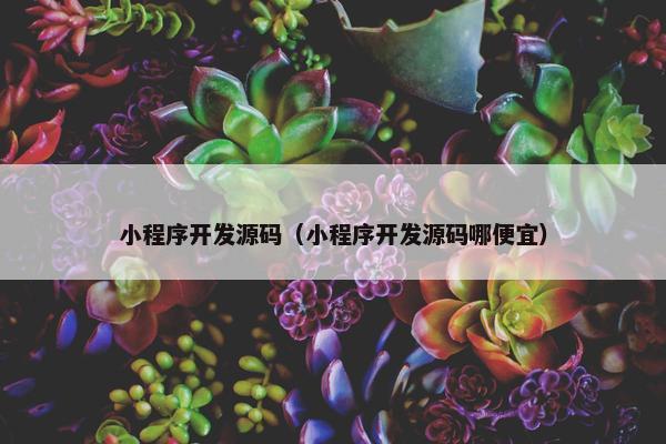 小程序开发源码（小程序开发源码哪便宜）