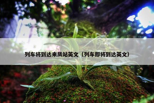 列车将到达来凤站英文（列车即将到达英文）