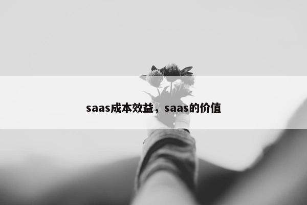 saas成本效益，saas的价值