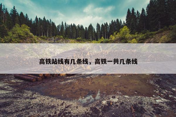 高铁站线有几条线，高铁一共几条线