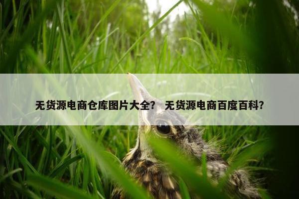 无货源电商仓库图片大全？ 无货源电商百度百科？