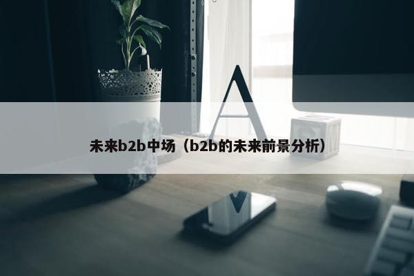 未来b2b中场（b2b的未来前景分析）