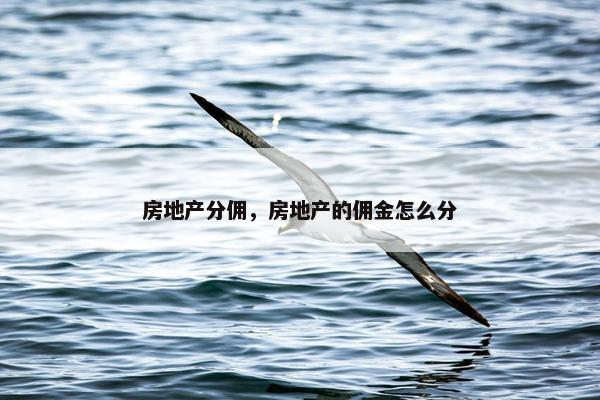 房地产分佣，房地产的佣金怎么分