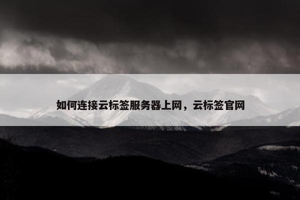 如何连接云标签服务器上网，云标签官网