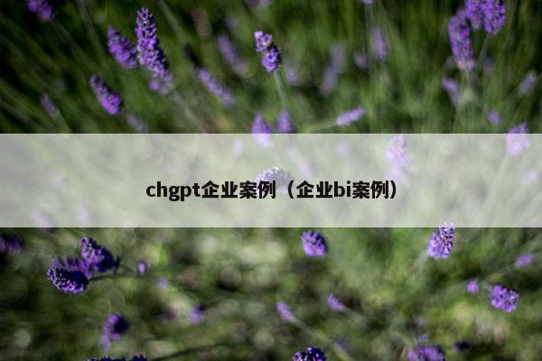 chgpt企业案例（企业bi案例）