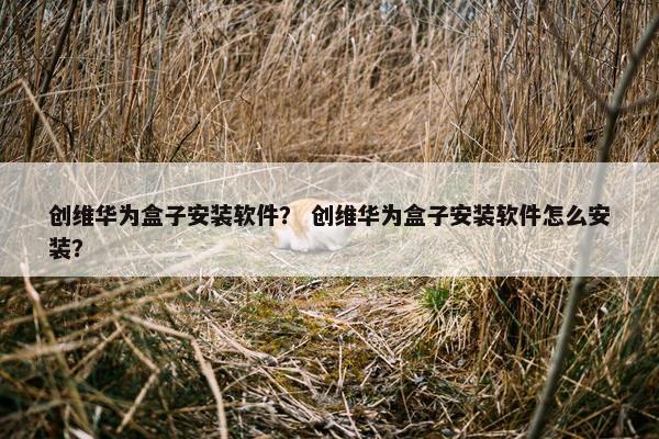 创维华为盒子安装软件？ 创维华为盒子安装软件怎么安装？
