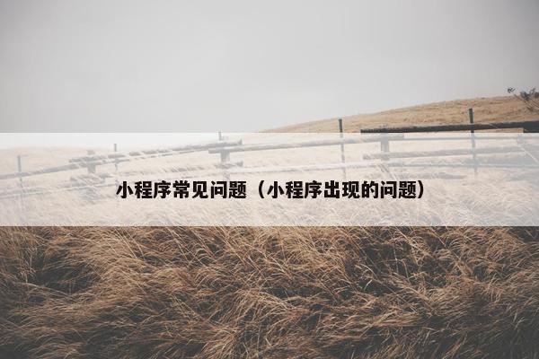 小程序常见问题（小程序出现的问题）