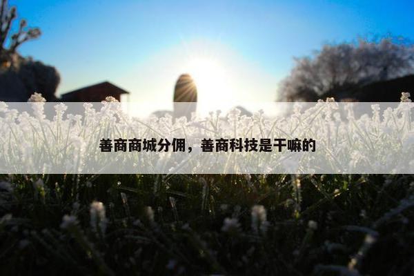善商商城分佣，善商科技是干嘛的