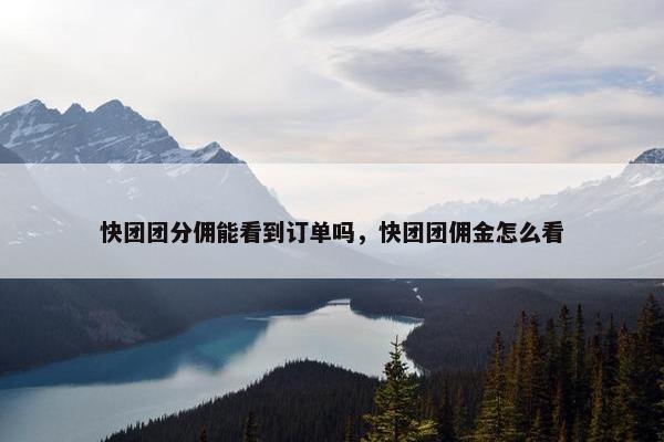 快团团分佣能看到订单吗，快团团佣金怎么看