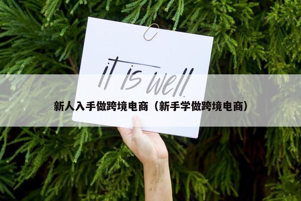 新人入手做跨境电商（新手学做跨境电商）