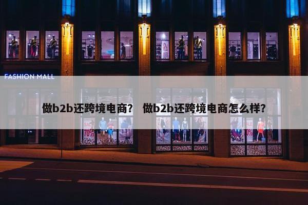 做b2b还跨境电商？ 做b2b还跨境电商怎么样？