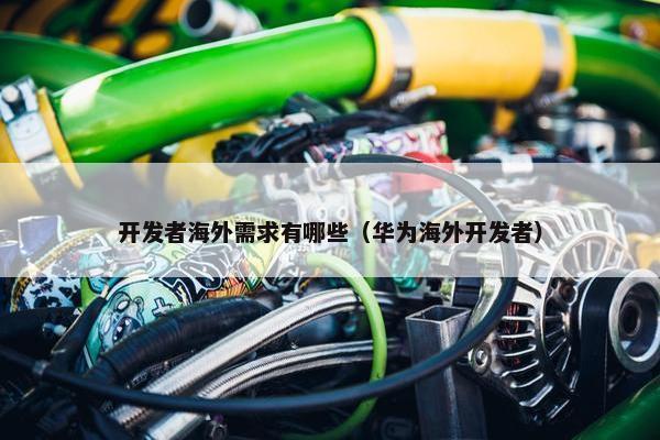 开发者海外需求有哪些（华为海外开发者）